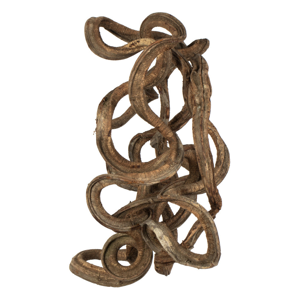 H2COV000 13" Natural Coiled Vine - A&B Wholesale Market Inc