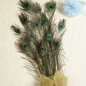 7159-COLOR Peacock Feather S12 - A&B Wholesale Market Inc