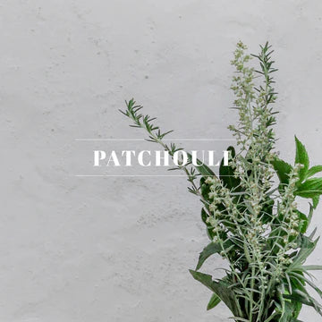 10064 | 1/2oz. Oil | Patchouli