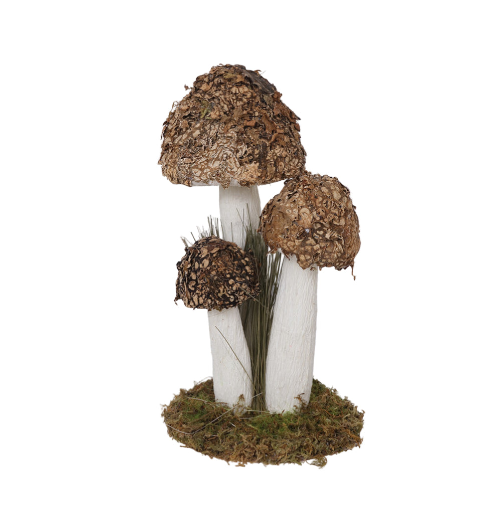 S25187 | Natural Brown 3-Mushroom Stand
