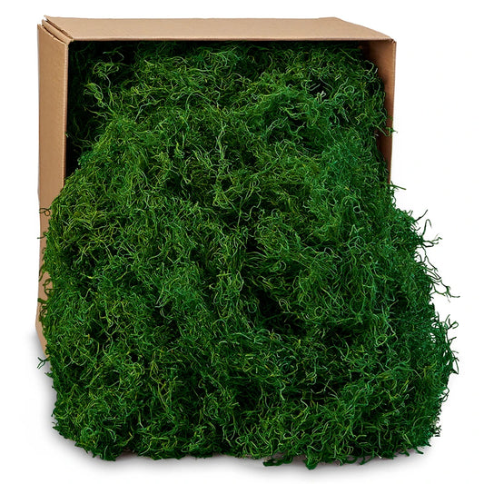 SMG10/1 | 10LB | SPANISH MOSS | DYED GREEN