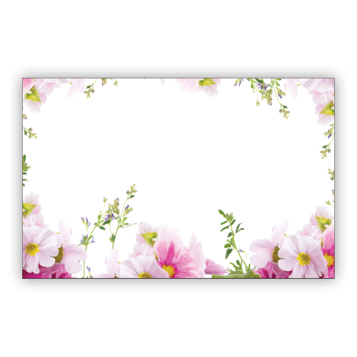 SP0492 | NO SENTIMENT | Spring Pink Border | 50Cards/Pkg
