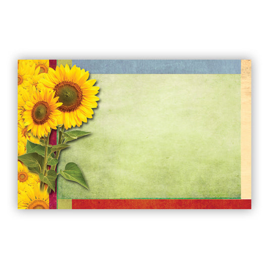 SP0494 | NO SENTIMENT | Sunflowers w/multi color border | 50Cards/Pkg