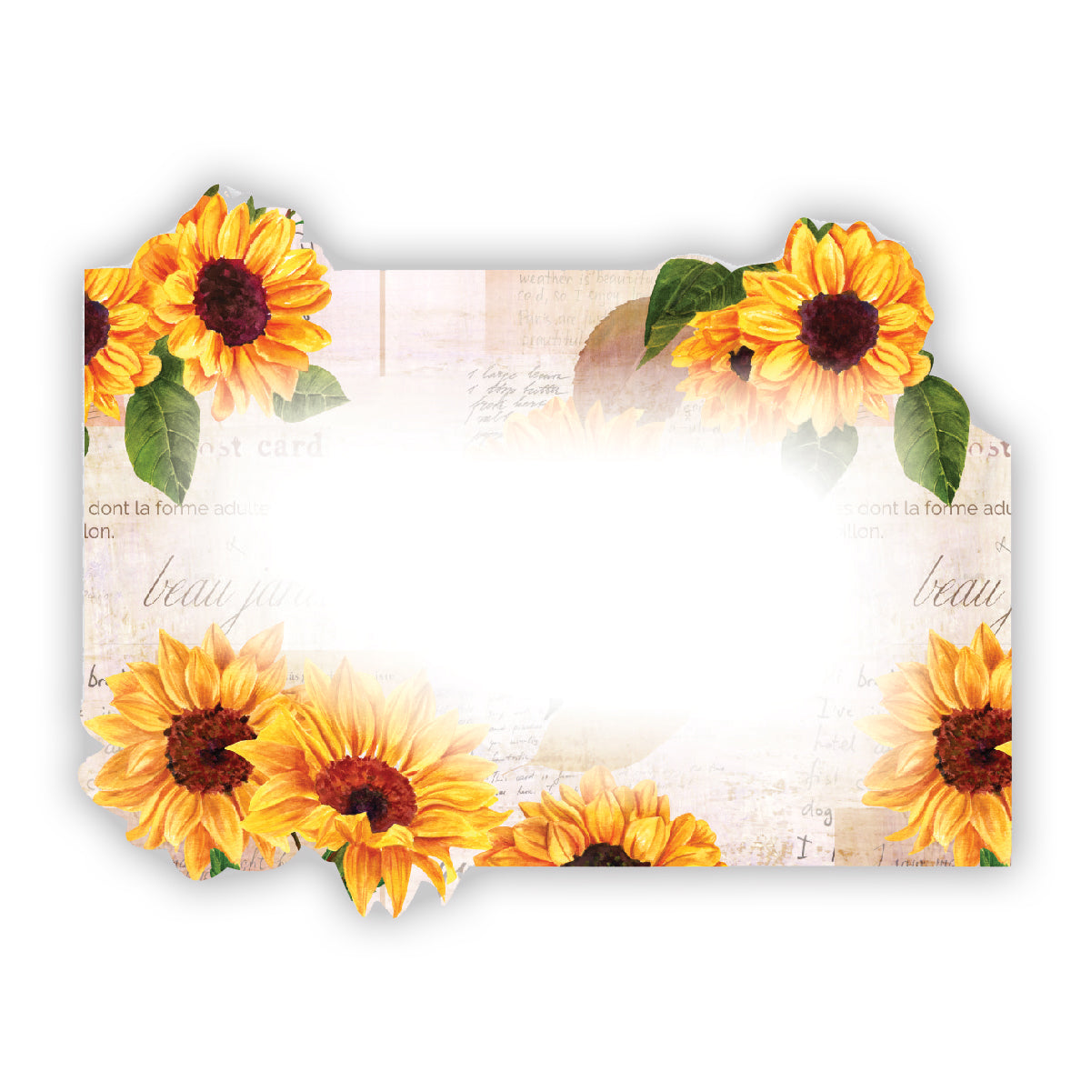 SP0563 | NO SENTIMENT | Sunflower corner die-cut | 50pk