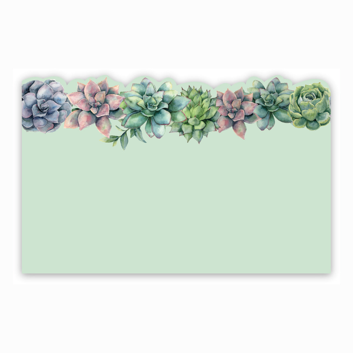 SP0641 | NO SENTIMENT | Succulent Variety | 50Card/Pkg