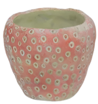 53937 CEMENT STRAWBERRY FLOWER POT (W/HOLE)