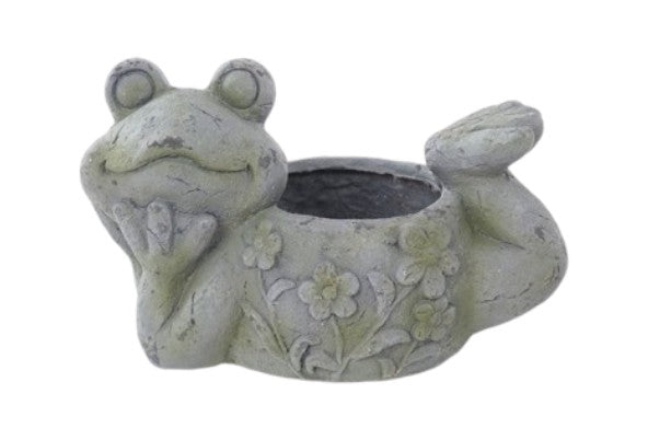 T25234 | MGO MOSS FROG CONTAINER