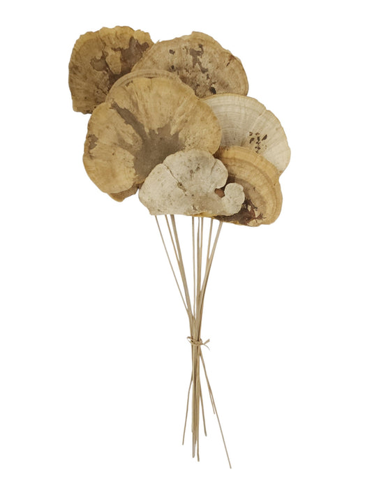 TT3074 | 23.5"L | Sponge Mushroom Twig Bundle x10 | Natural