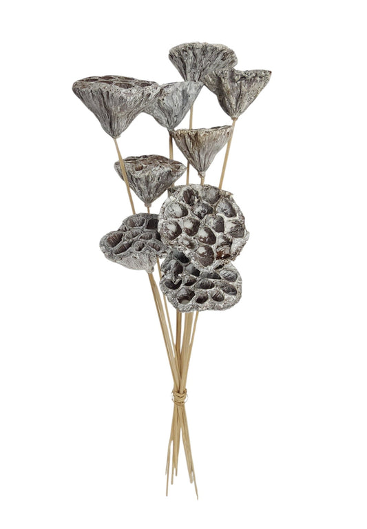 TT309530 | 20"L | Lotus Pod On Twig Stem Bundle x10 | Whitewash