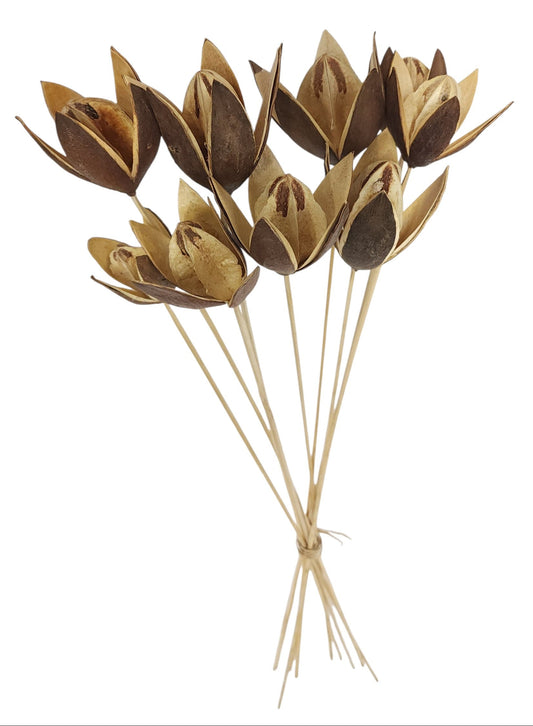 TT3105 | 21"L | Lily On Bamboo Stem Bundle | Natural
