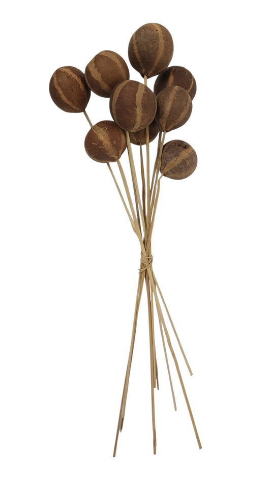 TT3112 | 21"L | Zebra Pod On Bamboo Stem Bundle | Natural