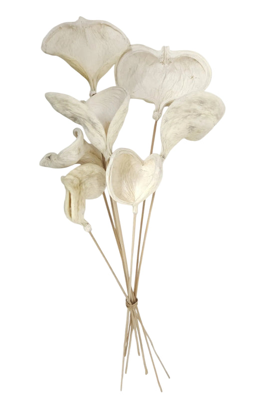 TT313231 | 23"L | Badam On Bamboo Stem Bundle x7 | Bleached