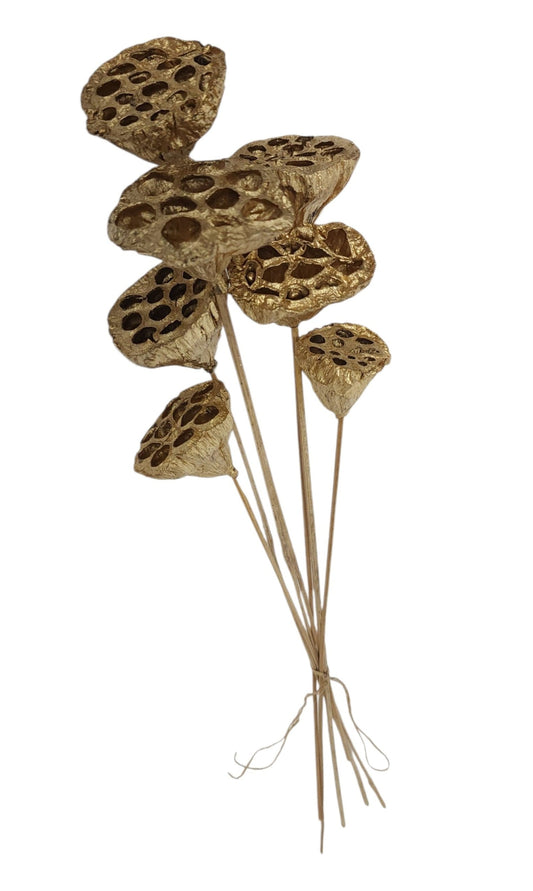 TT316208 | 20"L | Lotus Pod On Stem Bundle x7 | Gold