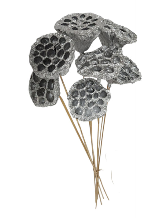 TT316226 | 20"L | Lotus Pod On Stem Bundle x7 | Silver
