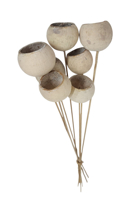 TT316930 | 21"L | Bell Cup On Twig Stem Bundle x7 | Whitewash