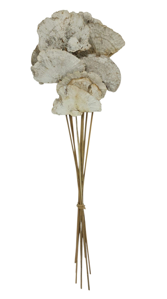 TT317230 | 23.5"L | Sponge Mushroom Twig Bundle x10 | Whitewash