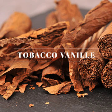 40237 Votive-Tobacco Vanille - A&B Wholesale Market Inc