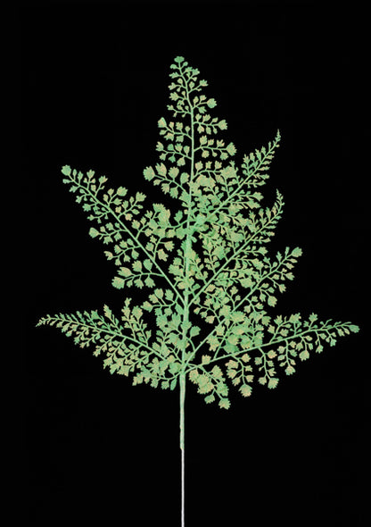 XS236833  23"L Glitter Maidenhair Fern Spray x7