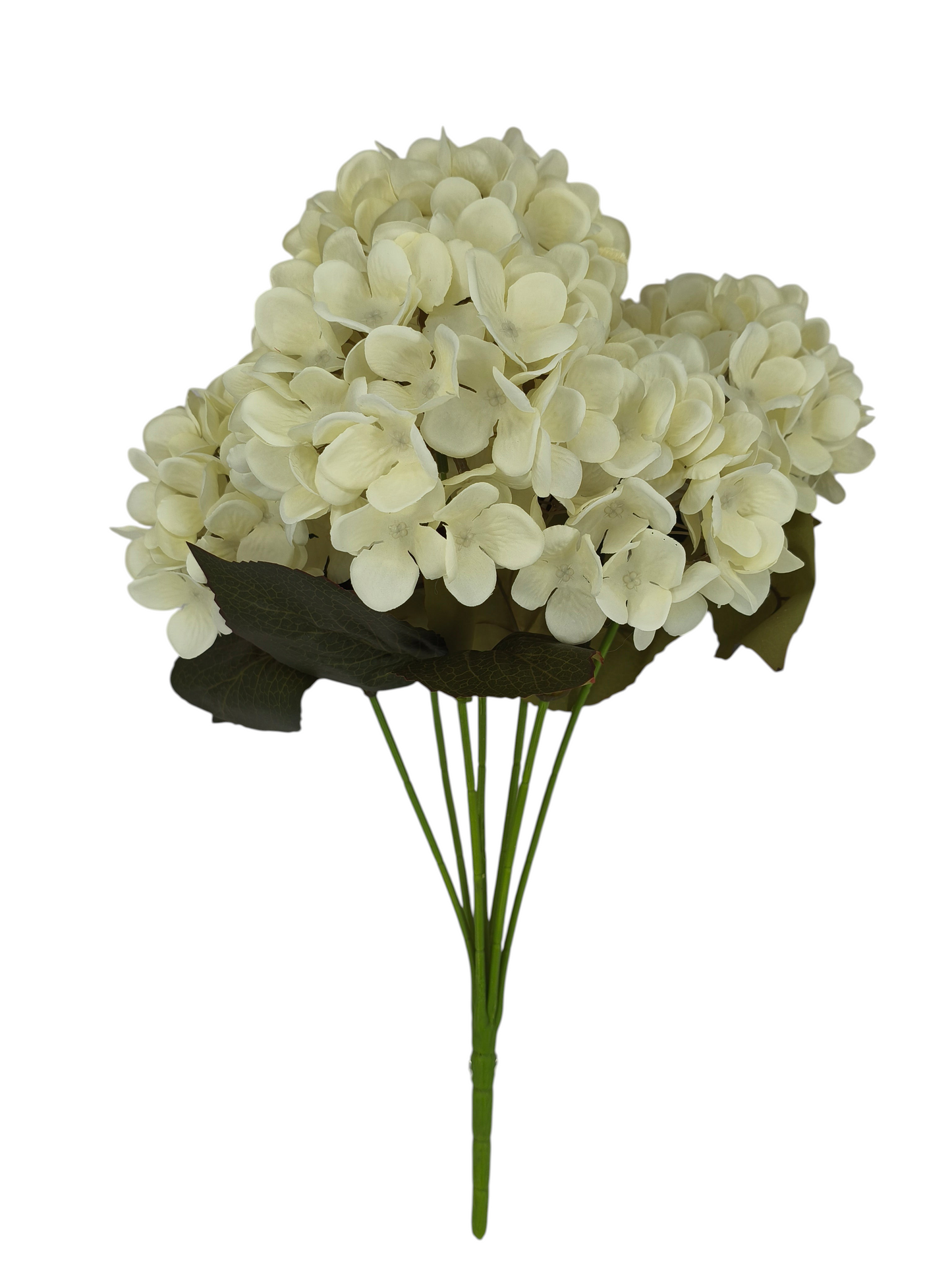 A&B Wholesale Market Inc 20-inch cream hydrangea bush with seven flower heads and green leaves on a white background.
