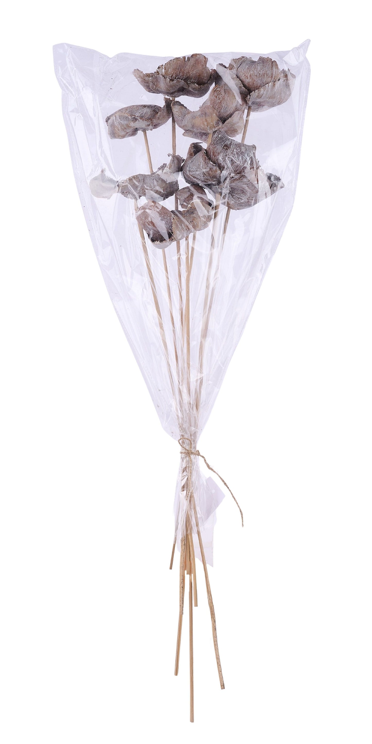 TT317130 | 20"L | Palm Cap On Bamboo Stem Bundle x7 | Whitewash