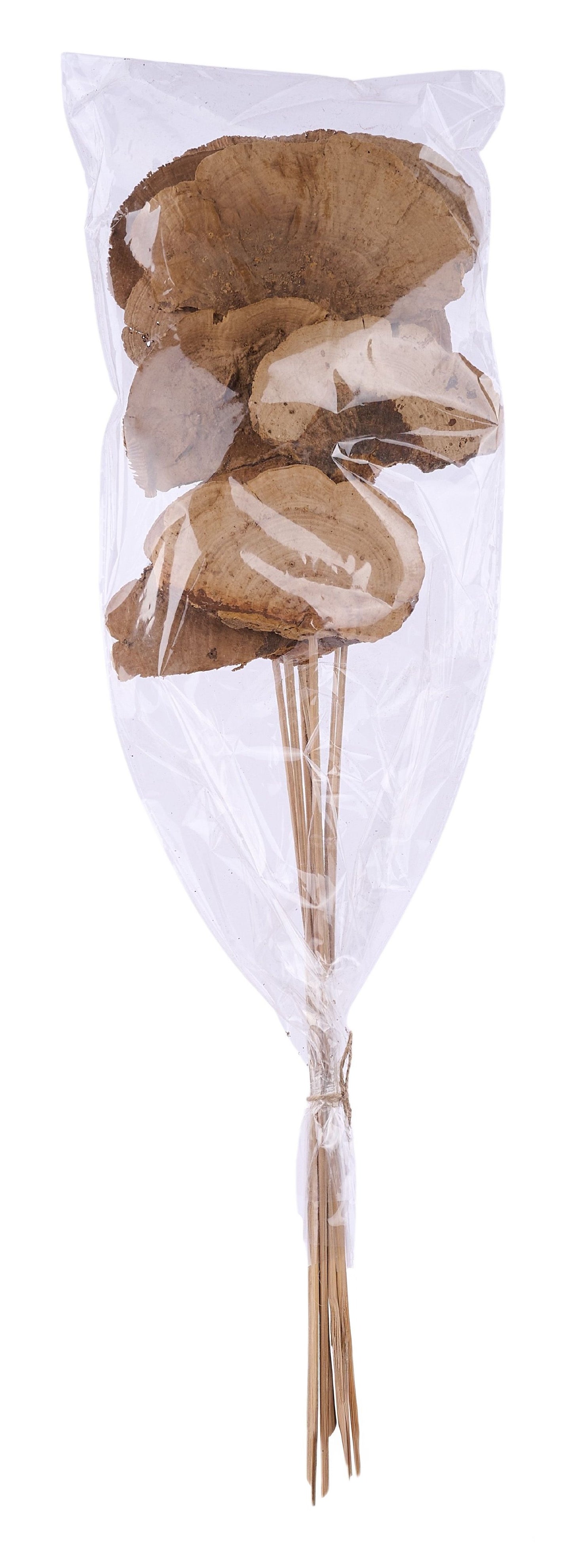 TT3074 | 23.5"L | Sponge Mushroom Twig Bundle x10 | Natural
