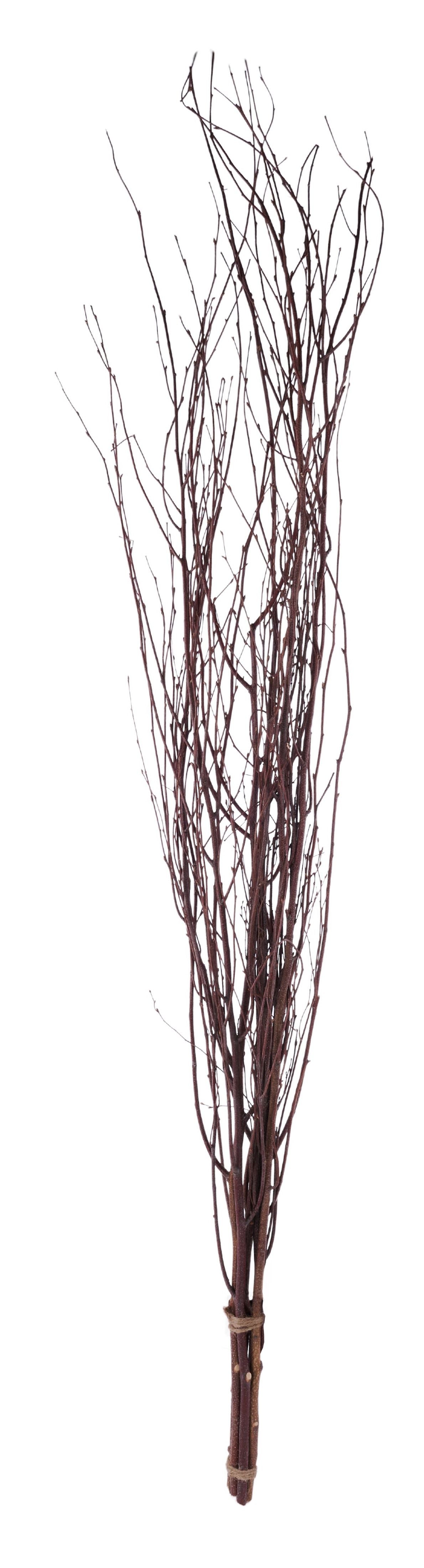 TT0259 | 59"L | Birch Twig Bundle