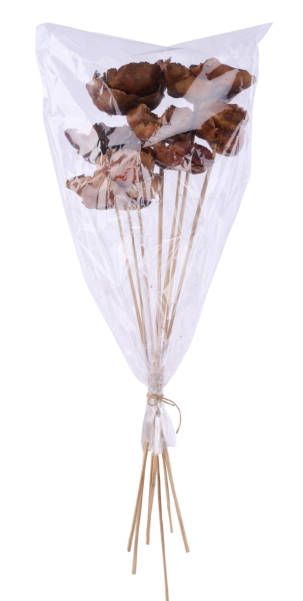 TT3101 | 20"L | Palm Cap On Bamboo Stem Bundle | Natural