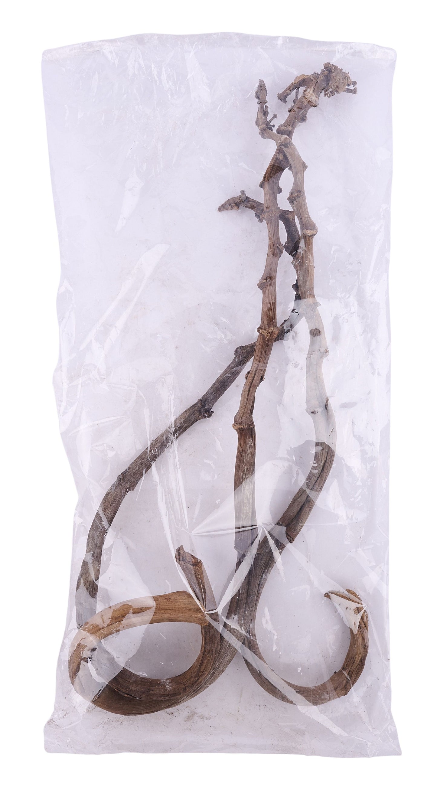 TT3070 | 17.75"L | Banana Stick Bundle x3 | Natural