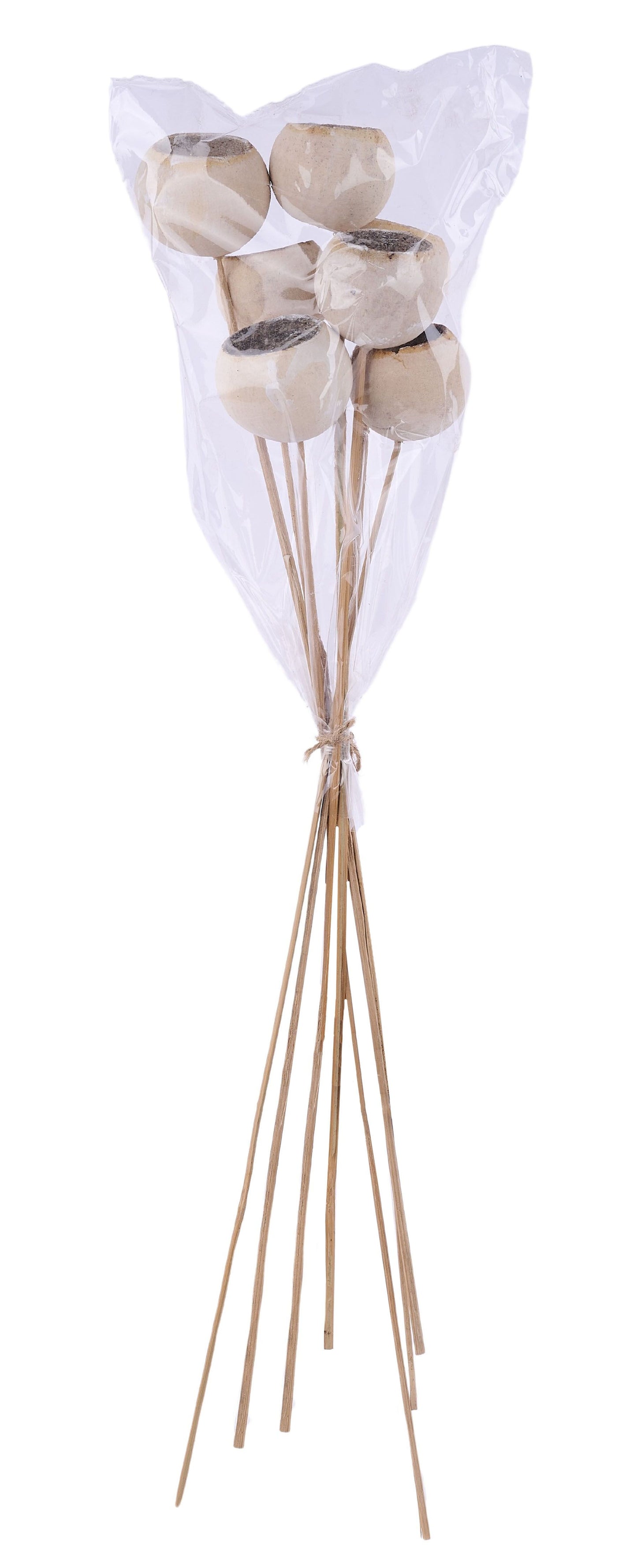 TT316930 | 21"L | Bell Cup On Twig Stem Bundle x7 | Whitewash