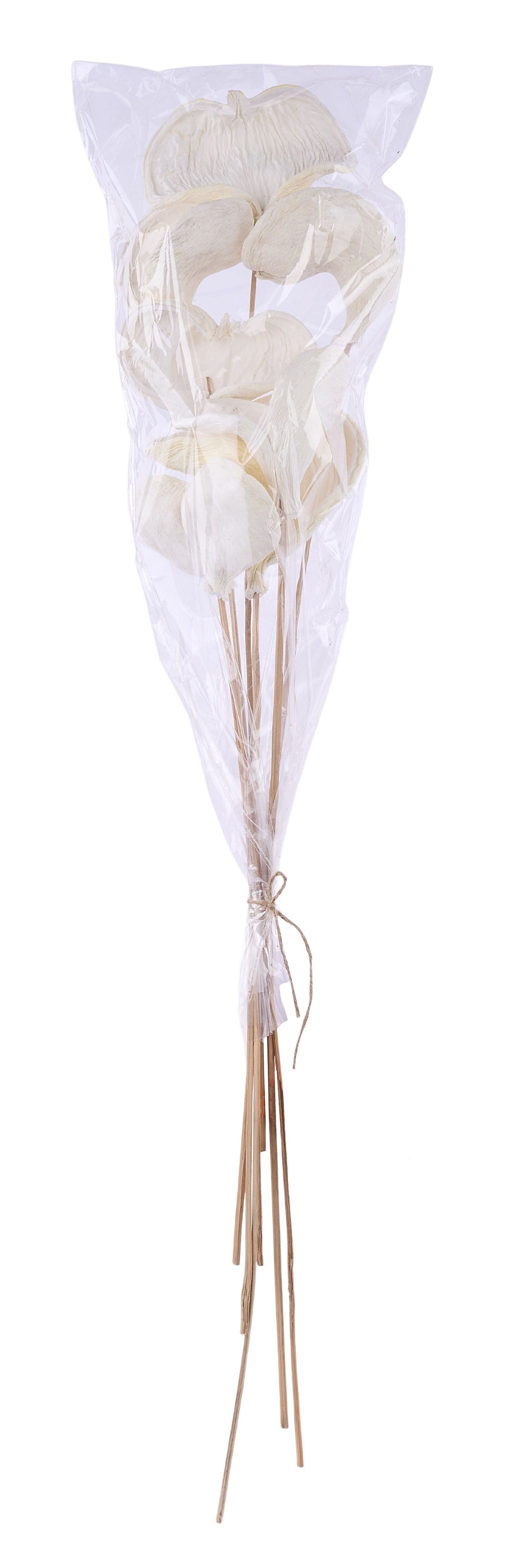TT313231 | 23"L | Badam On Bamboo Stem Bundle x7 | Bleached