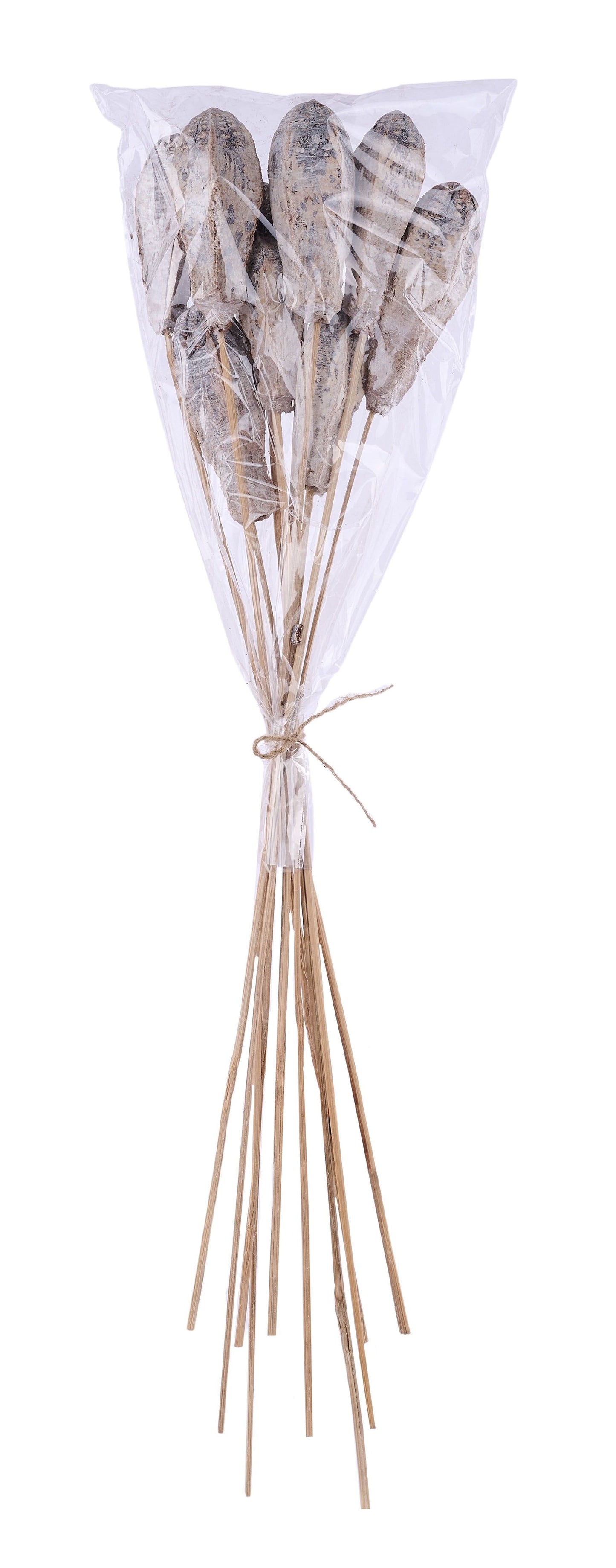 TT316830 | 23.5"L | Mahogany Pod Stem Bundle x10 | Whitewash