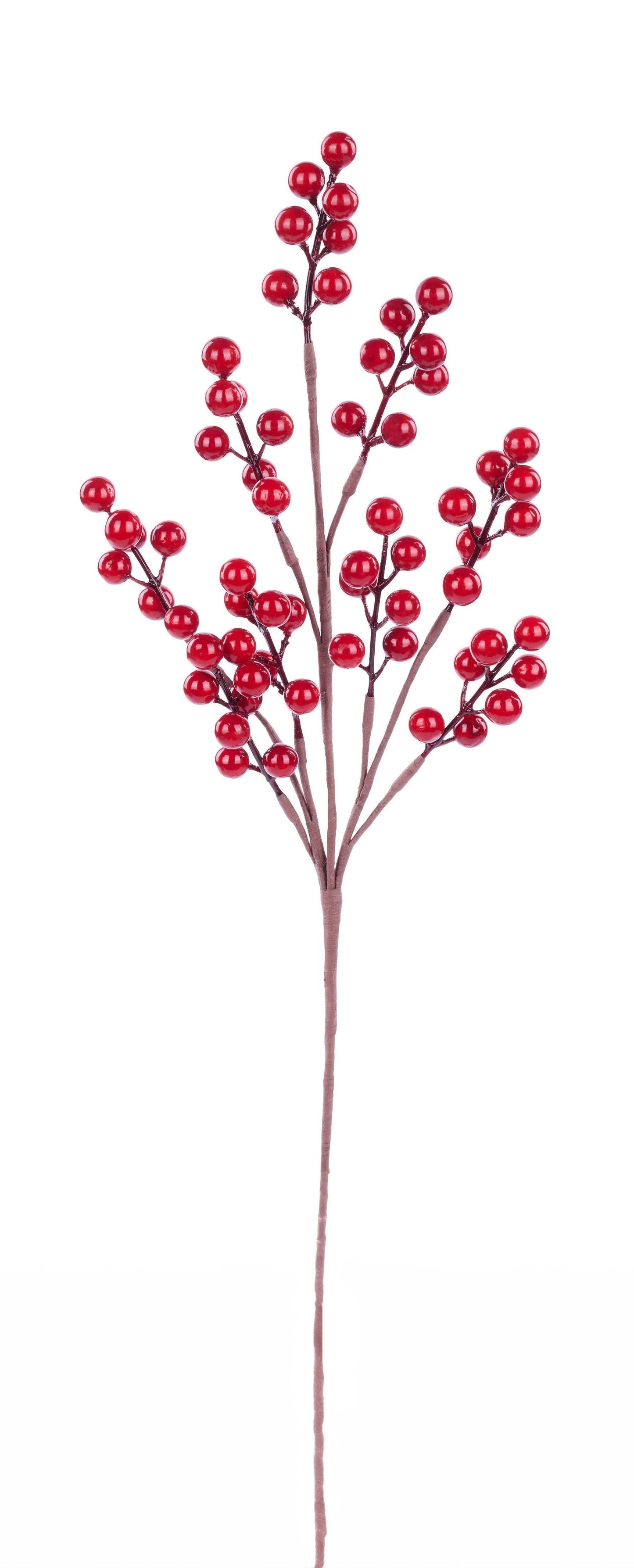 EW014024 | 18"L | Waterproof Berry Spray | Shiny Red