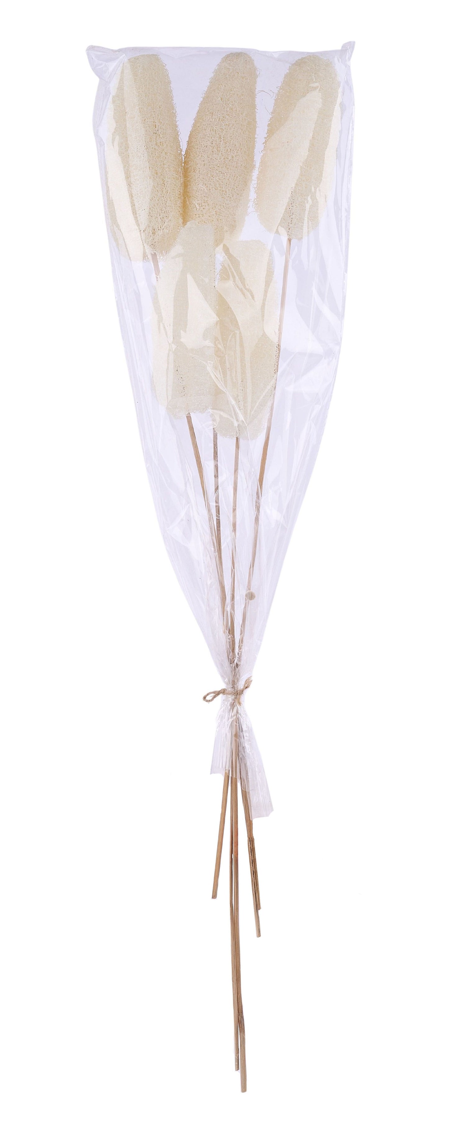 TT305131 | 20-22"L | Bleached Loofa Bundle x5