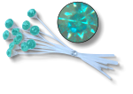 KK9915 | KARA'S KISSES SINGLE RHINESTONES | MERMAID