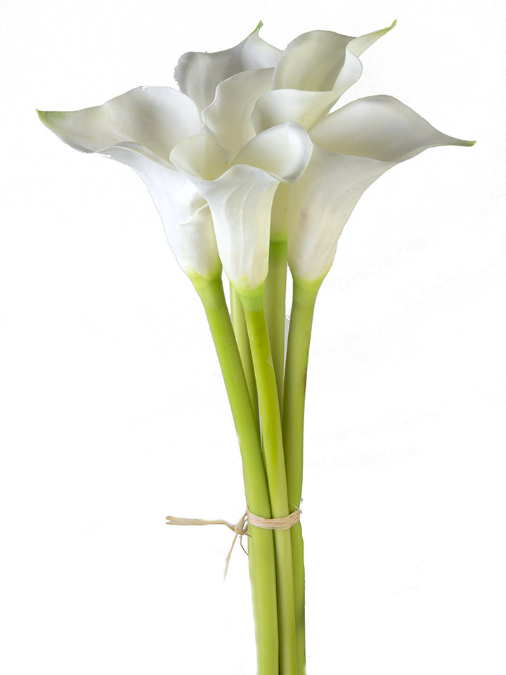 2242037WH | 26.5" | CALLA LILY X5 | WHITE - A&B Wholesale Market Inc