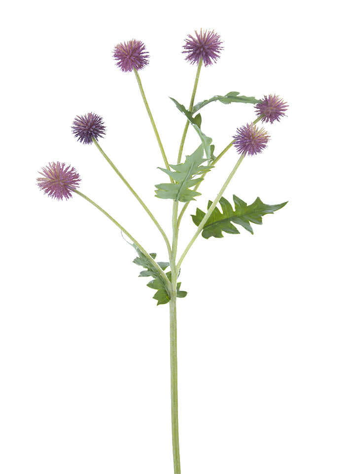 2150065FU 25" GLOBE THISTLE SPRAY - A&B Wholesale Market Inc