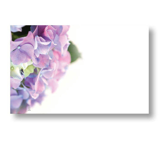 03141 Enclosure Card- Hydrangea - A&B Wholesale Market Inc